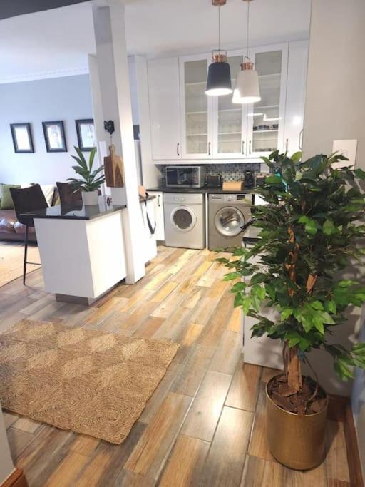 Cape Town, Sea Point, Beautiful 2 Bedroom Apartment @Tucked Away Экстерьер фото